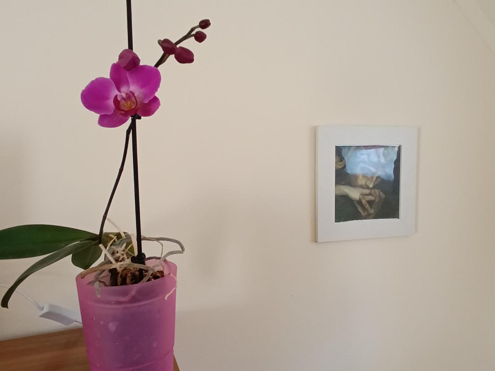 Céhmesterek apartman Eger Esterno foto